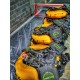 Tech Deep - FIRE BRIGADES (Italy)