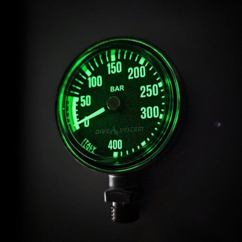 Pressure Gauge 300 bar + Swivel