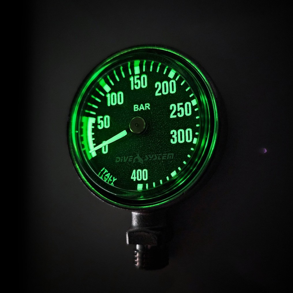 Pressure Gauge 300 bar + Swivel