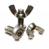 Stainless steel bolt and wing nut M10 (pair)