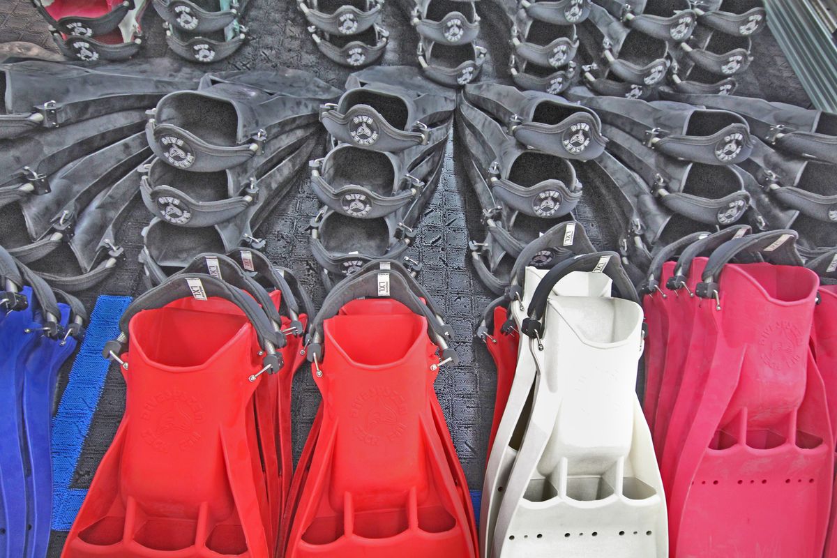 DiveSystem Company: DiveSystem fins