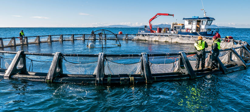 DiveSystem Professional Supplies: Aquaculture and Fishing industry 4