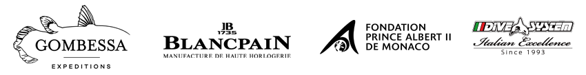 Gombessa sponsor logo
