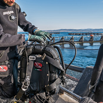 Aquaculture and fishing