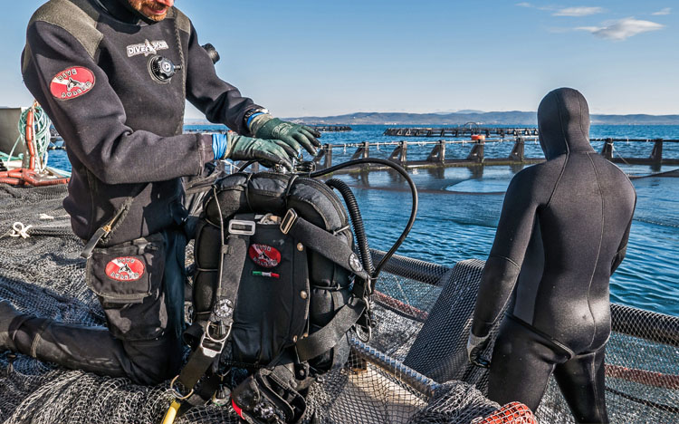 DiveSystem per Ittiche ed Acquacoltura