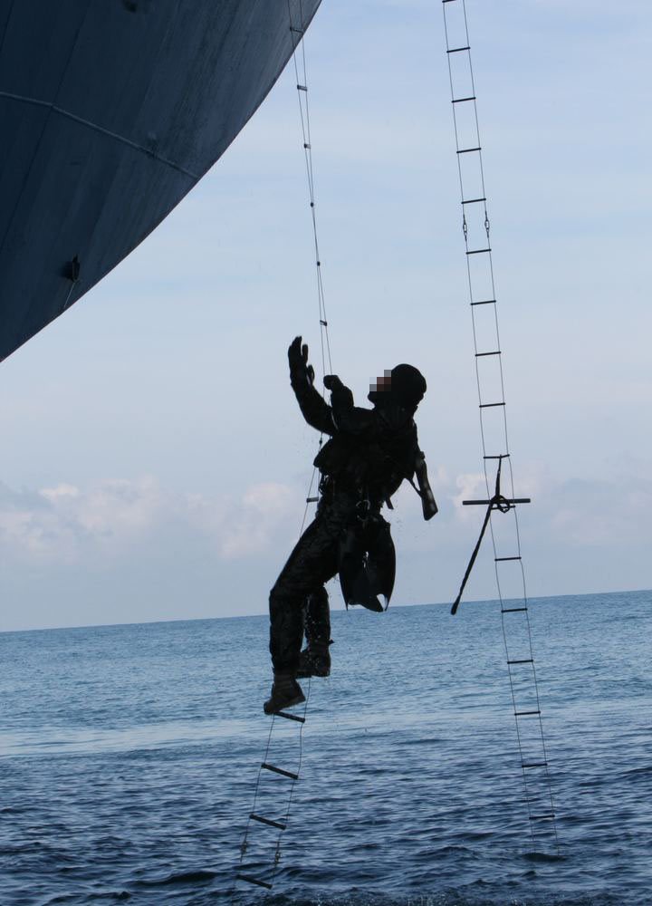 Boarding ladder