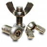 Stainless steel bolt and wing nut M10 (pair)