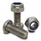 Stainless steel Bolt M10 (oval head) and Self Locking screw nut (pair)
