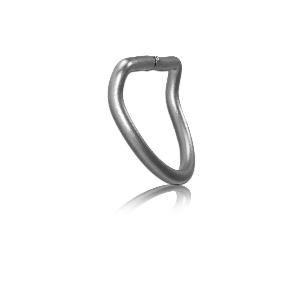 D-ring 50 mm in acciaio inox