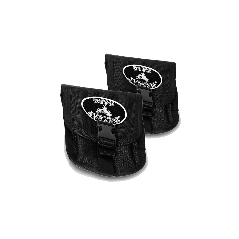 Coppia di tasche standard
