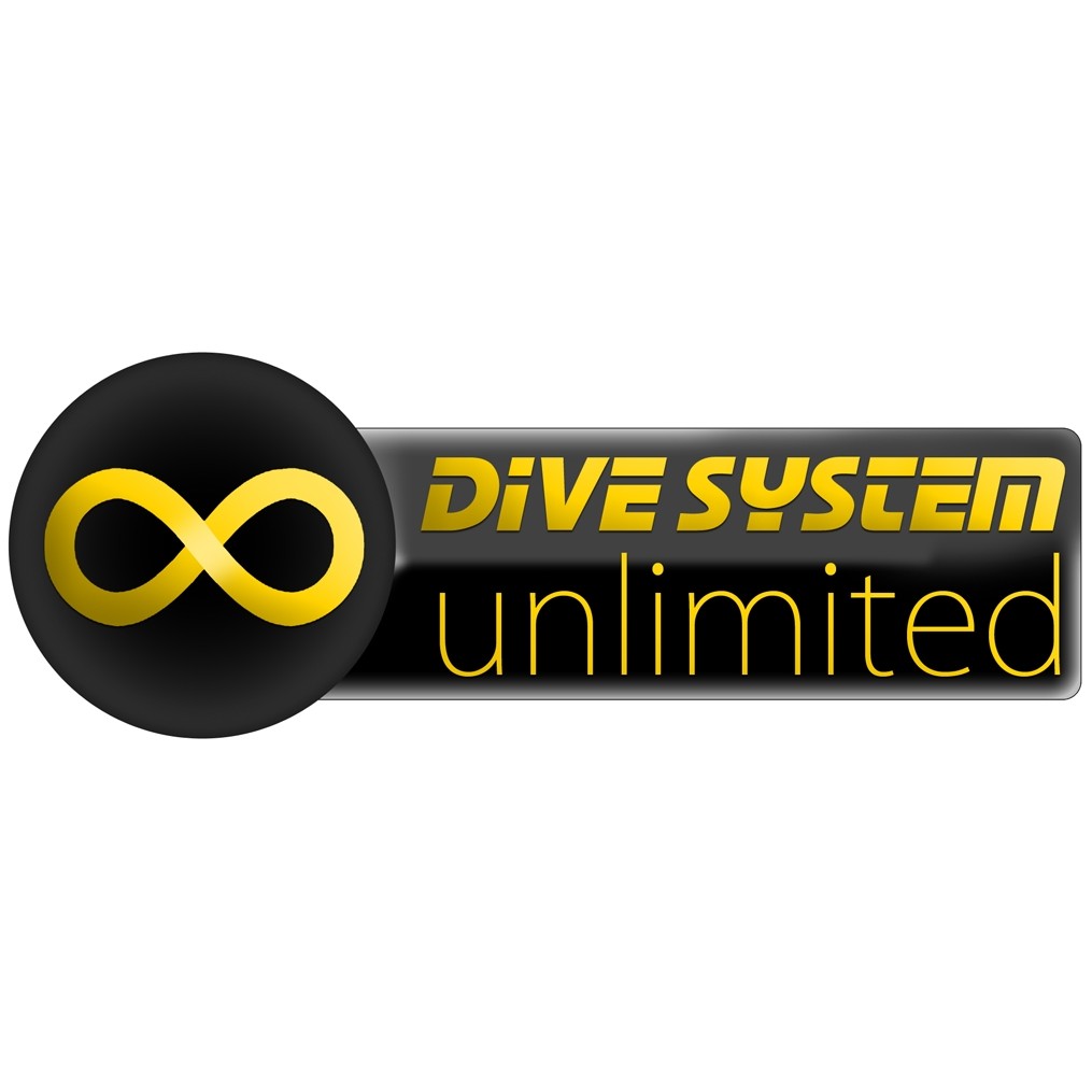 Attiviazione Serivizio DiveSystem Store Unlimited