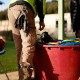 Nuovo Coltello OTS con fodero e moschettone asimmetrico